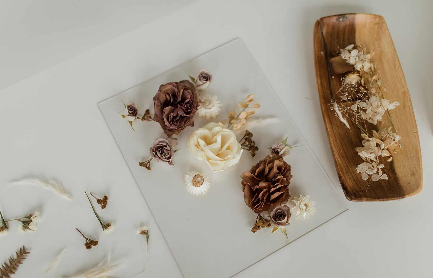 preserved flowers loosely laid on glass